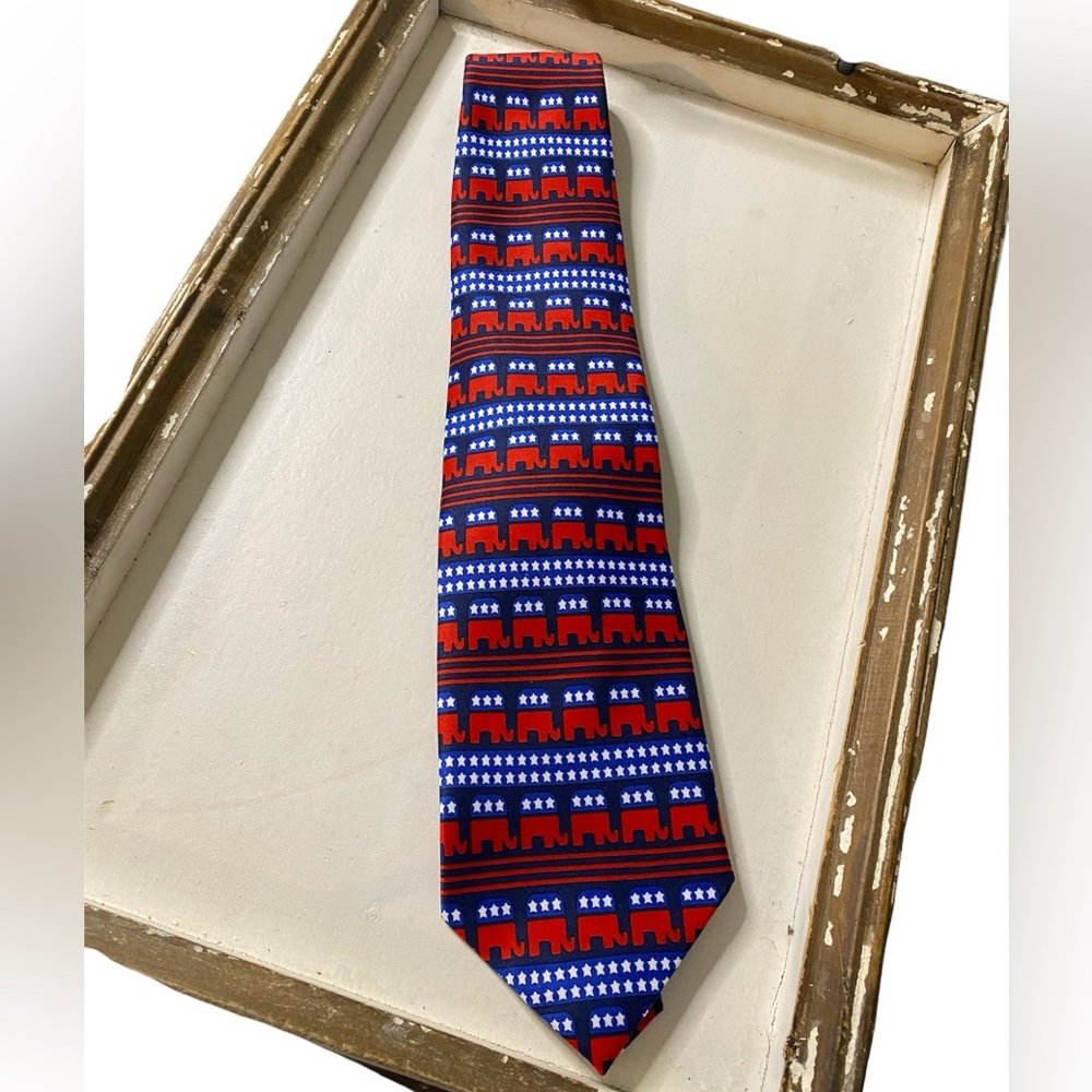 Democratic Party Knit Tie in Red and Blue